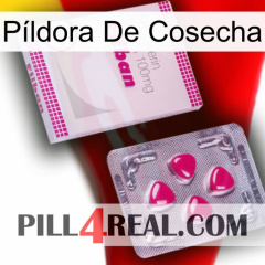 Píldora De Cosecha 32